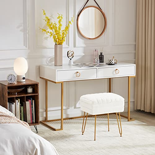 Soohow Vanity Chair Storage Vanity Stool Ottoman Foot Rest, Faux Fur Makeup Vanity Stool, Vanity Chair For Makeup Room, Foot Stool For Living Room, Bedroom, Storage Ottoman，Metal Legs #TOP2