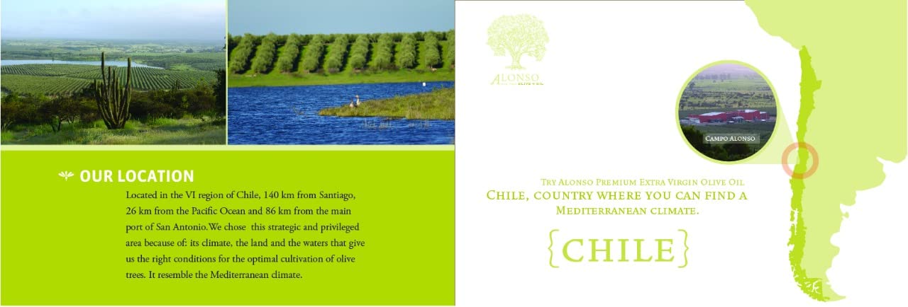 Alonso Extra Virgin Olive Oil , Chilean, High Polyphenols 643 mg/kg, Cold Extracted 2025 Harvest, NYIOOC Gold Medal Award, Low Acididty Family Farm, Chile 5L (169 FL OZ) (Coratina)