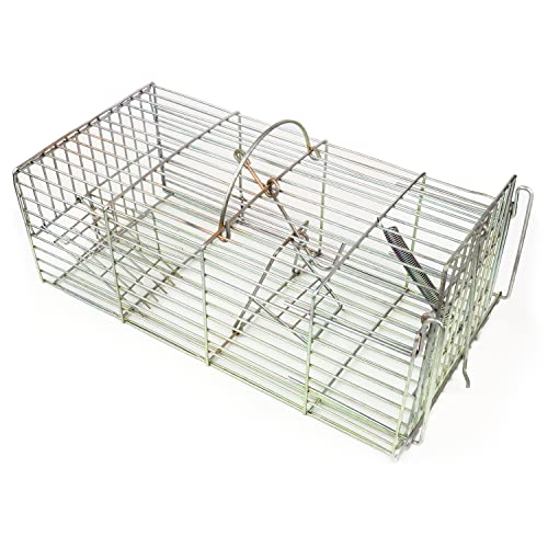 RatKil Rat Cage & Squirrel Trap - Large, Heavy Duty Rodent, Rat Trap for Outdoors | Long Lasting, Rust Resistant Humane Rat Trap for Ultimate Rodent Control