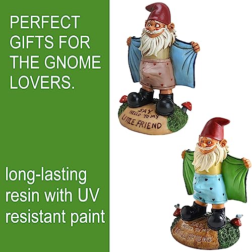 Funny Garden Gnome Statue Resin Gnomes Figurines SAY Hello to My Little Friend Indoor Ornament Gift Outdoor Garden Decorations for Home Patio Yard Lawn Porch (Blue) - Image 4