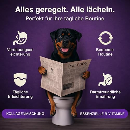 Dr. Flex Kollagen B‑Komplex Pulver für Hunde, Hochdosiert für Gelenke, Knorpel, Muskeln Vitalität mit Rinder Meereskollagen, Glucosamin, Hyaluronsäure essenziellen Vitaminen