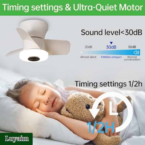 Plafonnier ventilateur de plafond moderne avec lumière LED variable