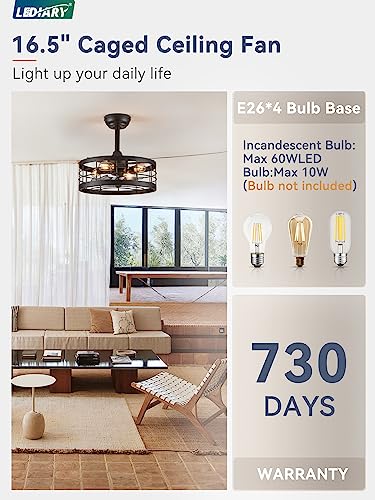 LEDIARY-165-inch-Black-Caged-Ceiling-Fan-With-Light-Fandelier-Industrial-Ceiling-Fan-With-Remote-Farmhouse-Fan-Lights-Ceiling-Fixtures-For-Kitchen-Bedroom-Outdoor6-Speed-Timing-Black