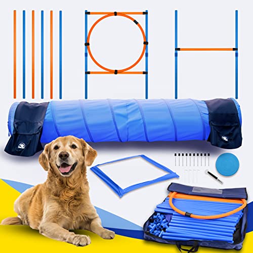 Dog Agility Equipment Best Wooden Seesaw for Dogs