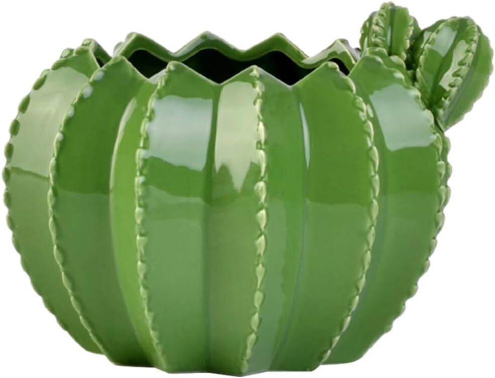 HOMSFOU Home Decor Ceramic Succulent Planter Cactus Shaped Flower