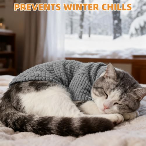 #1 Best 1 - Premium Pet Apparel Set - Image 5