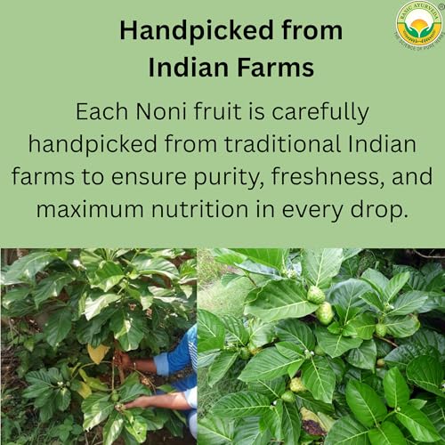 basic ayurveda noni virgin fruit juice  1623 fl oz 480ml  pure amp organic ayurvedic juice for health and wellness