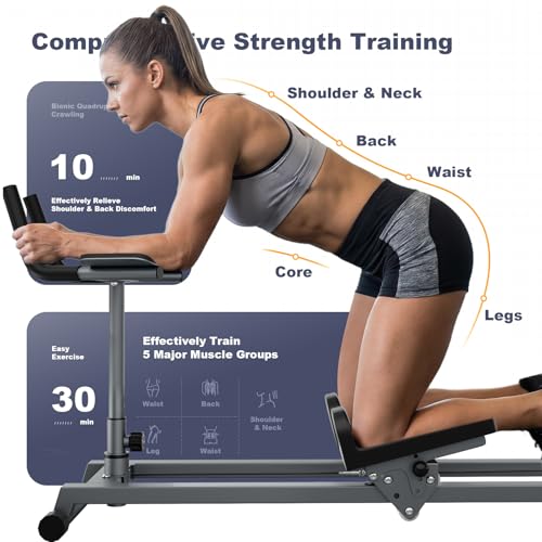Image of Bear Crawling Machine Workout for Core Training