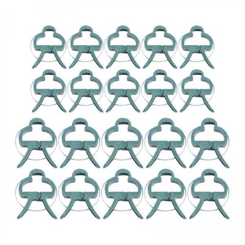 MERIGLARE 6xT|[gNbvAAxĂ܂ɂ