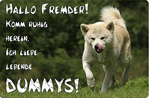 Preisvergleich Produktbild +++ AKITA INU - Metall WARNSCHILD Schild Hundeschild Sign - AKI 03 T17