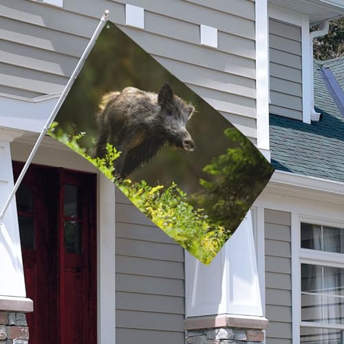 150 x 90 cm (5 x 3 Fuß) Neugierige Wildschwein-Schnüffel-Flagge für Haus, Rasen, hängende Dekoration, Hofbanner, Urlaub, Willkommensflaggen mit 2 Metallösen, für drinnen und draußen