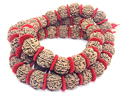 Panchmukhi 5 MUkhi, cara} Rudraksha Jap Mala Rosario Oración 108+1 20 a 22 mm aprox Collar de perlas nudo amarillo rojo borla Cover