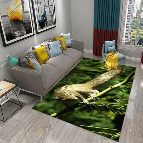Tapis de salon grand format 180x280 pour décoration chambre - 2