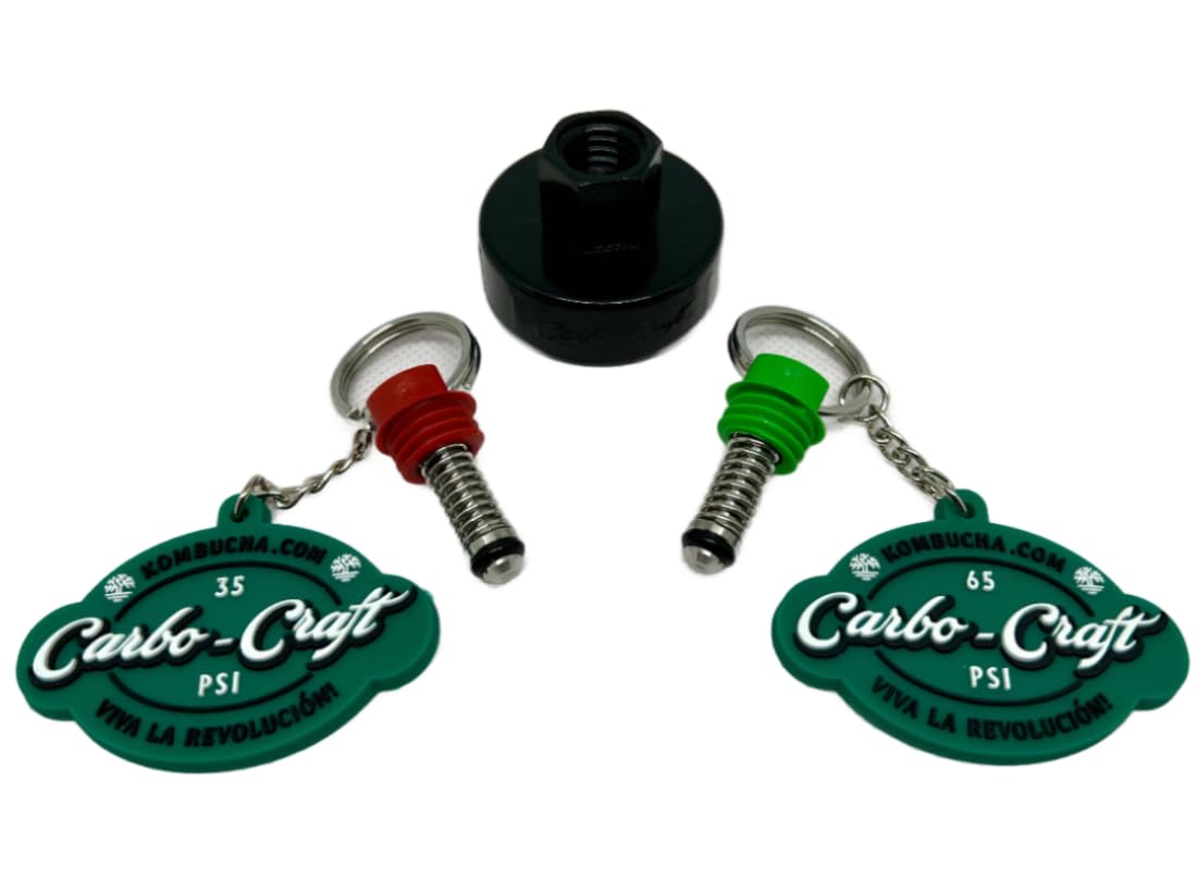 Amazon.com: Kombucha.com Carbo-Caps: The Swingtop Slayer and