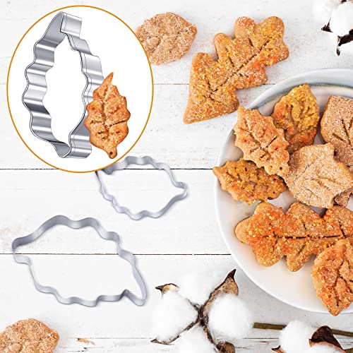 Skyley 10 Pcs Fall Thanksgiving Cookie Cutters Maple Leaf Oak Shaped Set Autumn Piecrust Cutter For Pie Fondant Crust Biscuit Birthday Party, Assorted Sizes, Silver, Approx. 2.1-5.3 Inches #TOP6