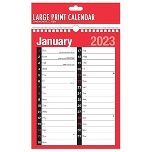 FIRST CHOICE KAYA 2023 Wallplanner R&B – A4 2 Column Month to View Slim Wallplanner Spiral Bound Calendar for Home…