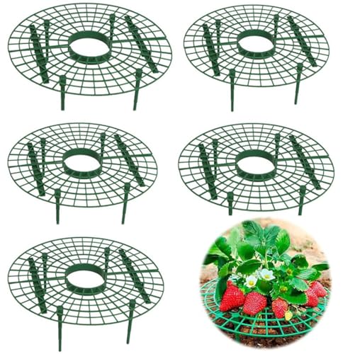 ガーデニング用品 イチゴサポートイチゴ栽培ラック イチゴ棚 支柱 家庭菜園 支柱 園芸 ムケージプロテクター いちご栽培サポート 腐った果実対策 園芸用品 (5Pcs)