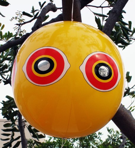 Bird B Gone Mmseb Balloon Bird Repellant, 20" D, Bright Yellow #TOP2