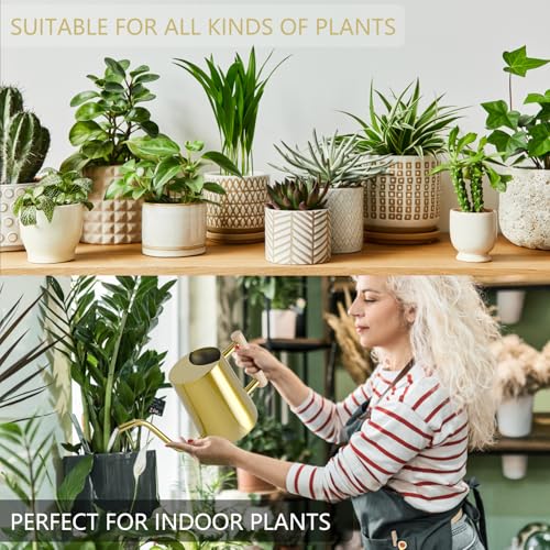 Image of Watering Can Indoor Plants, 35oz Small Stainless Steel Metal Watering Can Modern Decorative Watering Pot with Long Spout for Indoor House Plant Bonsai Garden Flowers (Gold)