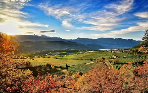 Kellerei Kaltern Rosenmuskateller Moscato Rosa Roséwein lieblich, 750ml