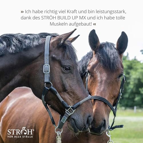 STRÖH Küsten Build up MX (30 kg Feedbox) • Hochwertiges Aufbaumüsli • Ideal für Sport- & Turnierpferde • Pferde Müsli mit Vitamin E, A, B12, D3, Biotin, etc. • Pferdefutter Müsli