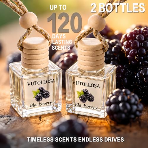 Image of Car Air Freshener Hanging Blackberry 2 Pack,Essential Oils Diffuser Car Scents Decor Air Freshener,Long-Lasting Cute Car Accessories for Women & Men