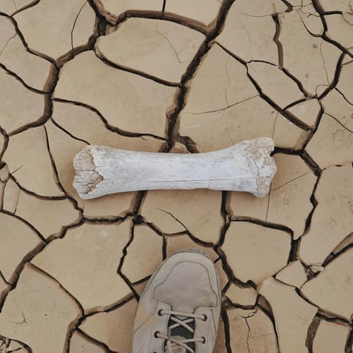 Can These Bones Live? (Pastor Amanda Calder&oacute;n-Reece)