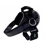 Joyride Harness 2.0 - The Original Side Ring No Pull Dog Harness - No Choke, Escape Proof, Reflective, 3 Leash Clips, Quick Fit Pet Vest - Easy Walks & Training - for Small, Medium & Large Dogs