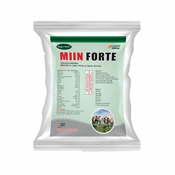 MIIN Forte 5Kg Pouch Pack | Mineral Mixture Powder for Cattle, Buffaloes, Goats & Sheep | Boosts Milk Yield, Growth, Immunity Booster | Powerful Chelated Minerals Mixture