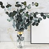 [Método de conservación] Tenga cuidado con las flores de eucalipto inmortales en un ambiente irritado. Las flores secas se almacenan en un lugar fresco y seco, pero no expuestas a la luz solar directa. Las flores secas están hechas de plantas naturales, por lo que cada ramo es único.