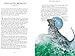 Creation Myths: How the World Began, in 15 Origin Legends
