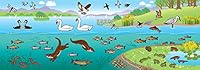 The Lake District Sticker Book: The Wildlife of Cumbria in Gorgeous Fold-Out Scenes 0956446043 Book Cover