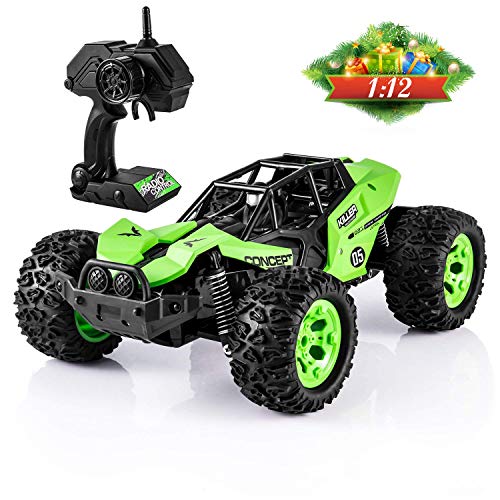 best off road radio controlled cars