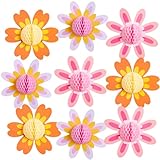 Daisy Party Tissue Paper Pom Poms Honeycomb Balls Decorations Flower Hanging Ceiling Sign Classroom Decor Party Supplies for Spring Baby Shower Birthday Party Favor - 9pcs