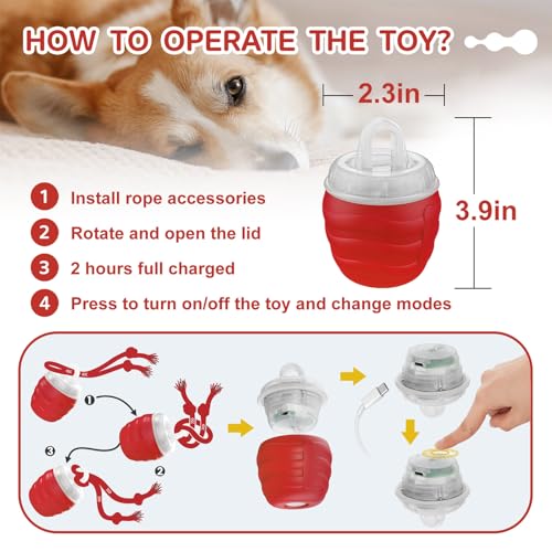 Balle interactive pour chat, jouets mobiles pour stimulation mentale et activités - 6