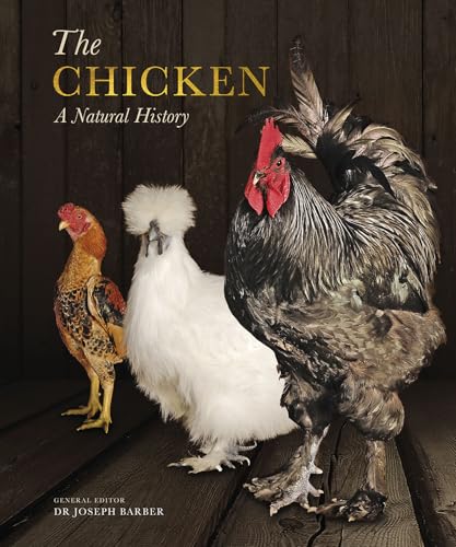 The Chicken: A Natural History (English Edition)