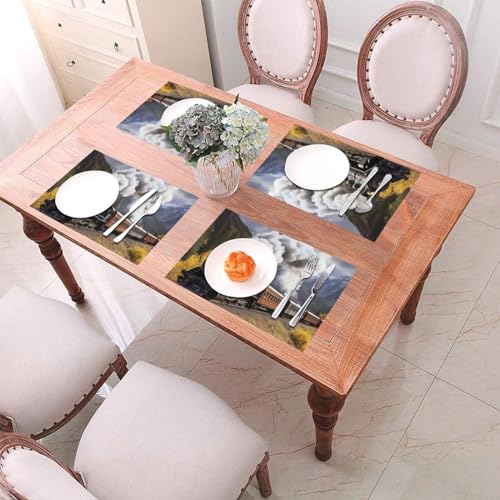 Set de table lavable PVC train napperon cuisine antidérapant résistant chaleur x4 - 5