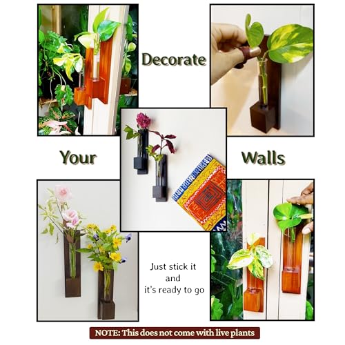 Image of Bombay Greens ; Sow, grow, eat, repeat Wall Planter|Wooden Plant Holder for Living Room|Eco Friendly Planter for Home Decor|Test Tube Planter for Office|Double Sided Tape Included (Set of 3)