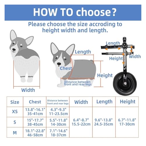 Fauteuil roulant pour chien avec support réglable des pattes arrière - 7