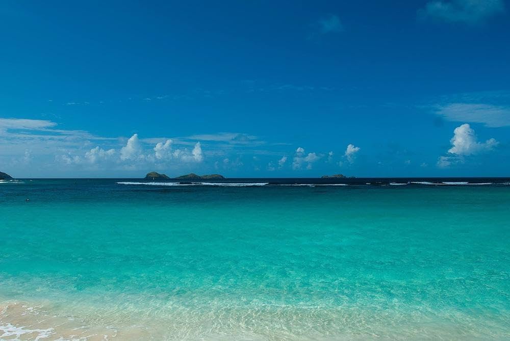 トロワリヴィエール　VSOP & キュベ ド ロセアン　2本セット Amazon.co.jp: トロワリビエール VSOP 700ml【アグリコール ラム