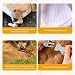 LYPPUL 3 Stück Ellenbogenbandage Hund, Recovery Sleeve Hund, Ellbogenschoner für Hunde, Hundebeinschutz, Mittelgroße und Große Hunde Chirurgie Erholung Recovery Sleeve für Vorderbeine (2XL)