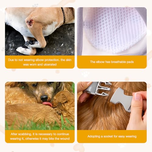 LYPPUL 3 Stück Ellenbogenbandage Hund, Recovery Sleeve Hund, Ellbogenschoner für Hunde, Hundebeinschutz, Mittelgroße und Große Hunde Chirurgie Erholung Recovery Sleeve für Vorderbeine (2XL)