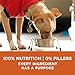 Purina ONE Plus Healthy Weight High-Protein Dog Food Dry Formula - 31.1 lb. Bag
