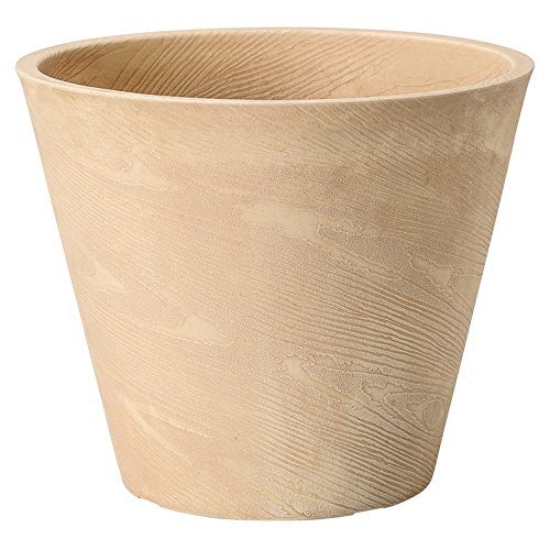 GREENHOUSE vX`bNv^[ ؖ M 1 3752-B