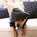 Ellie Dog Wear Zip Up Adventure Charcoal Grey Dog Hoodie with Hook & Loop Pockets and Adjustable Drawstring Hood - XXS to XXL Available - Comfortable & Versatile Premium Dog Hoodies (XL)