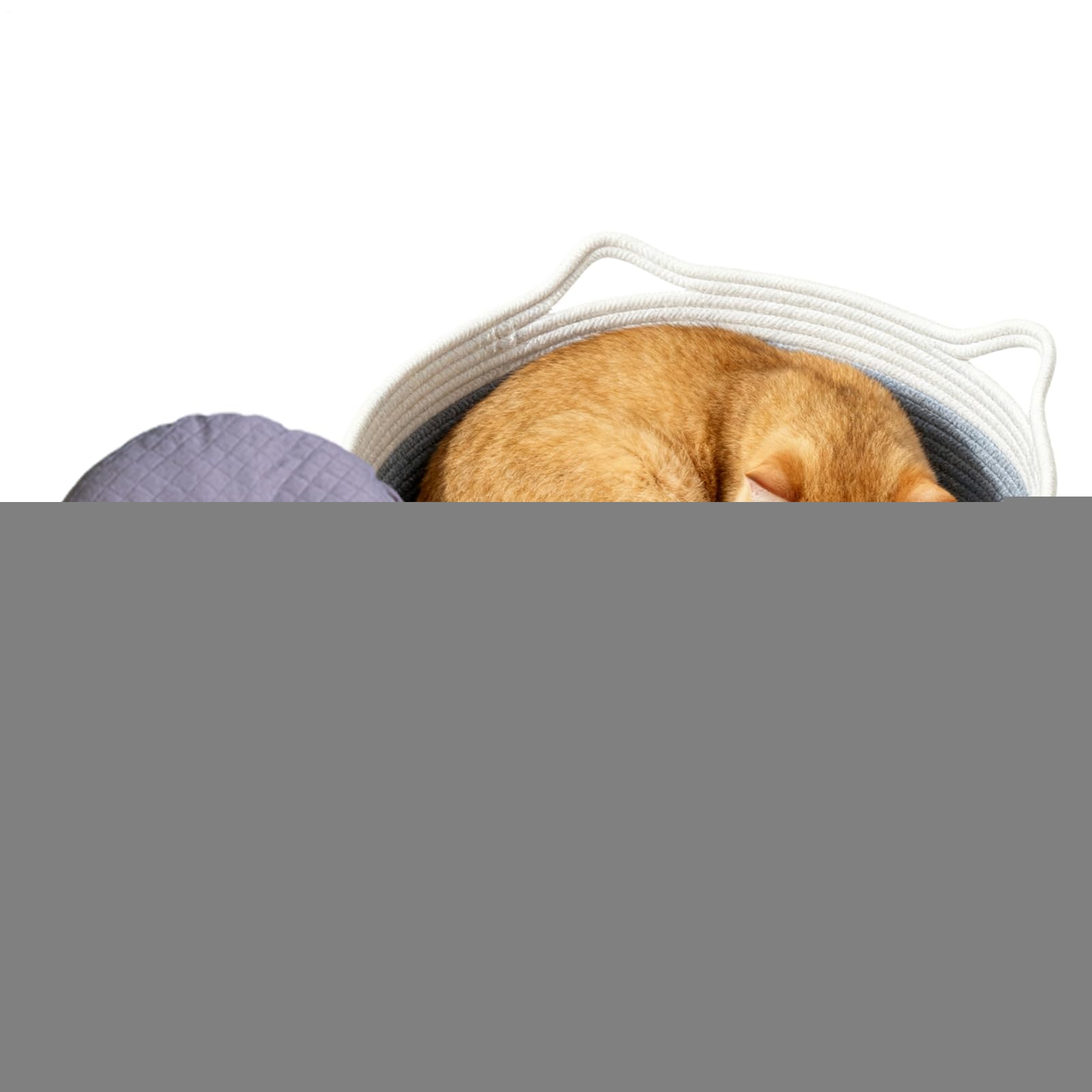 Panier lavable pour chat et nid en corde de coton pour petit animal