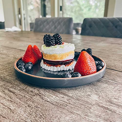 Mora Ceramic Flat Plates Set Of 6 - 8 In - The Dessert, Salad, Appetizer, Small Lunch, Etc Plate. Microwave, Oven, And Dishwasher Safe, Scratch Resistant. Kitchen Porcelain Dish - Assorted Neutrals #TOP6