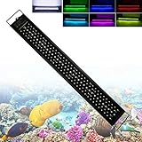 SOLIKU LED Aquarium Beleuchtung 40W Fish Tank Aufsetzleuchte Mit Timer und Erweiterbarer Halterung Aquarium Lampe für 75-105cm, Vollspektrum LED Automatisiertes LED-Licht für Fisch Koralle