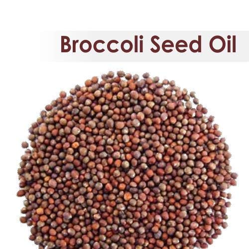 Image of B-Urban Broccoli Seed Oil 100 ml (3.38 fl oz) - Lightweight Botanical Oil for Haircare, Serums & DIY Formulations