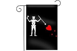 Our Flag Means Death Blackbeard Pirate Flag